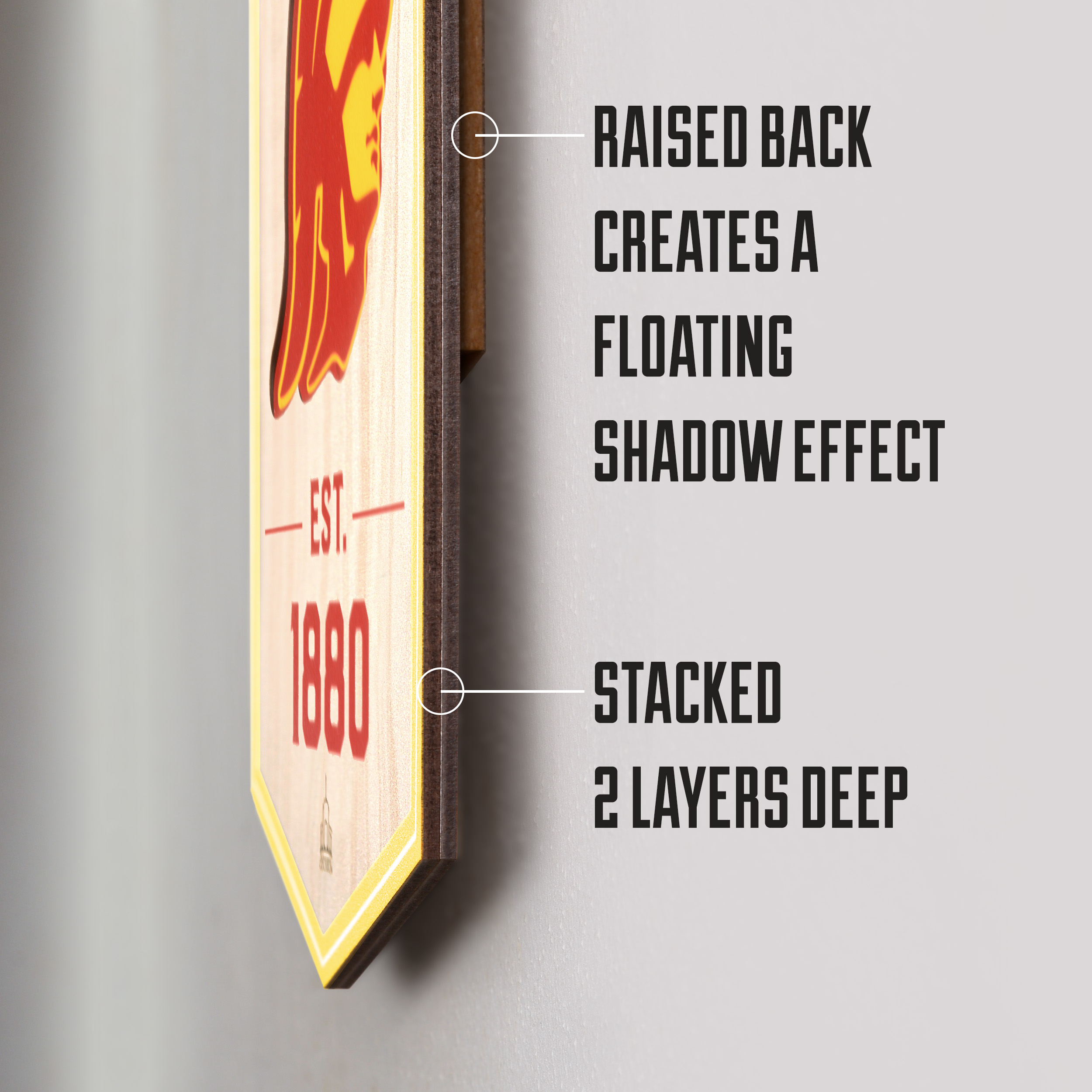 Cincinnati Bengals 3D Stadium Banner